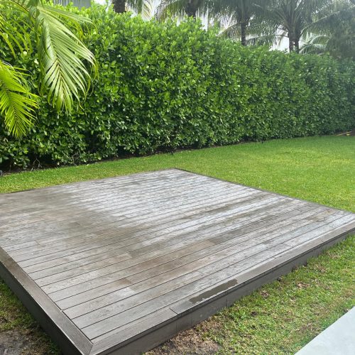 WhatsApp Image 2026-03-19 at 12.21.19